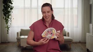 What is a menstrual disc \u0026 how does it work? - with Dr Jana Pittman