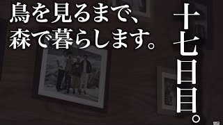 水曜どうでしょうハウスで野鳥観察の刑。十七日目。ミスターとヒヨドリ。