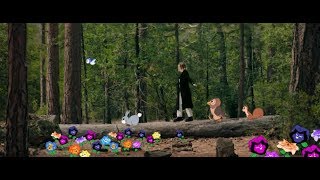 Slothrust - "Peach" Official Video