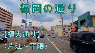 福岡の通り　㉕福大通り　　片江1丁目→干隈三差路