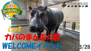 (LIVE）　カバのまんぷく君　WELCOMEイベント