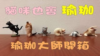 【毛♥開箱】貓咪也會瑜珈？貓咪瑜珈大師開箱