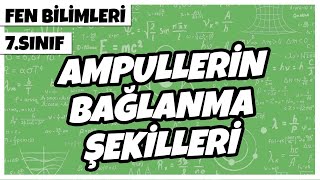 7. Sınıf Fen Bilimleri - Ampullerin Bağlanma Şekilleri | 2022