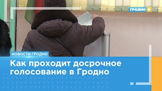 В Беларуси началось досрочное голосование на выборах Президента