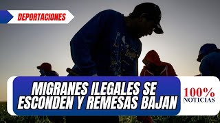 La criminalización de los migrantes hace que millones se escondan y las remesas bajan en gran escala