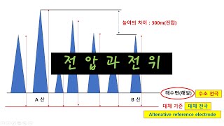 (전기방식 기초이론) 7.전압과전위