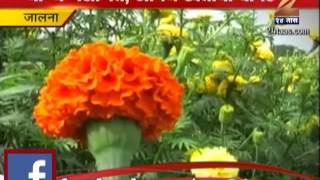 Zee24Taas: Peekpani : Flower Plantation, Jalna