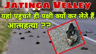 Jatinga Valley Bird Deaths | Jatinga Bird Suicide Mystery Solved | Bird Suicide Jatinga India