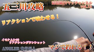 【バス釣り】五三川！水系！短時間で釣れるのか？イモケムシ40のリアクションダウンショットが熱い！