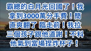 霸總的白月光回國了！我拿到3000萬分手費！簡直爽翻了 臨走前！我拉三個孩子跟他道謝！不料他氣到當場捏炸杯子！