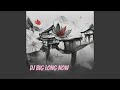 Dj Big Long Now