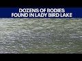 Over 3 dozen bodies found in, around Lady Bird Lake since 2022 | FOX 7 Austin