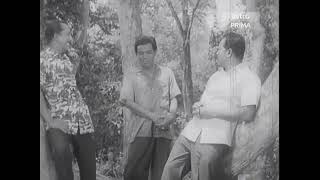 Aku Nama Kosong Mi, Dah Kena Kita Semua, DoReMi (Do Re Mi) - Klip Video Retro