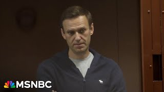 Alexei Navalny located in Arctic Circle penal colony