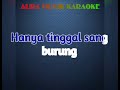 kisah sepasang burung the rhythm kings karaoke original key___budi aura aura cover