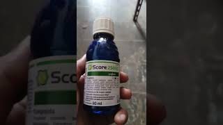 Fungisida Score 250 Ec buat hawar daun dan batang padi menguning#viralvideo #video #tani