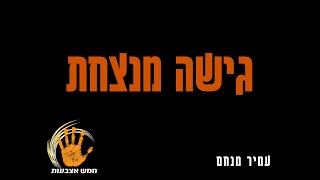 חמש אצבעות - גישה מנצחת (עמיר מנחם)