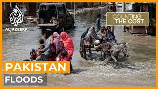 Will Pakistan's deadly floods leave economic recovery sinking? | Counting the Cost