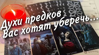 ❗️Что хотят Сказать Вам Духи умерших Предков? ❄️♥️♠️ таро прогноз ❄️ знаки судьбы