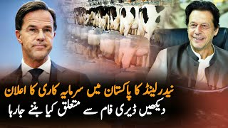 Netherlands Established Dairy Excellence Center In Lahore || pakistan || netherland