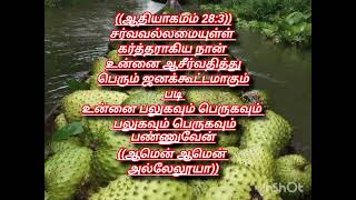 மதிய நேர தேவனின் ஆசீர்வாத வார்தை இதன் படி நம்மை ஒவ்வொரு நாளும் நடத்துவாராக தேவன் ஆமென் ஆமென்