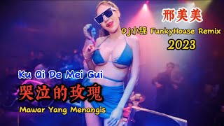 邢美美 - 哭泣的玫瑰 - (Dj小锦 FunkyHouse Remix 2023) - Ku Qi De Mei Gui - Mawar Yang Menangis #dj抖音版2023