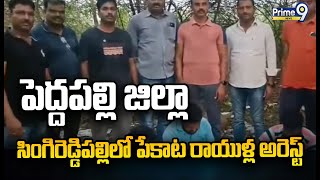 పెద్దపల్లి జిల్లా సింగిరెడ్డిపల్లిలో పేకాట రాయుళ్ల అరెస్ట్ | Peddapalli District | Prime9 News