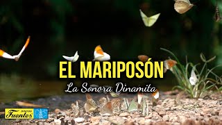 EL MARIPOSÓN – La Sonora Dinamita (Video Letra)