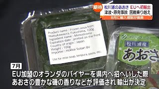 福島県産水産物をＥＵへ震災後初輸出　相馬市松川浦のあおさの魅力とは？　 (2023年10月17日)