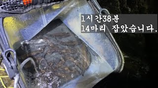 UL루어대 시화방조제 우럭타작 1시간 38분! 구독자님들도 언능 달려가시죠!!(04.28)