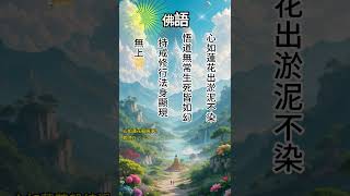 智慧-佛語30~緣 善心善念善行 #正能量 #人生感悟