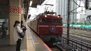 カシオペア紀行青森行きEF81-98牽引さいたま新都心駅通過