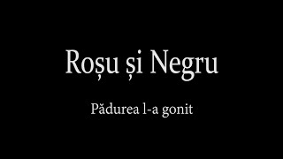 Rosu si Negru [Sorin Tudoran] - Padurea l-a Gonit