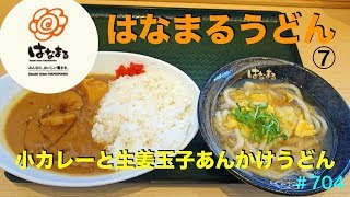 【はなまるうどん7】寒い日に生姜玉子あんかけうどんと小カレーを食す　＃704