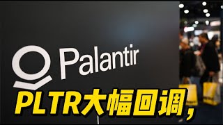 Palantir大幅回调，机会还是陷阱？ #美股 #palantir #pltr