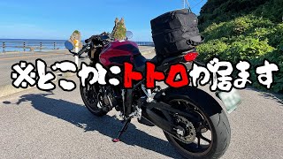 セパハン化したCB650Rで能登半島を爆走したらトトロに出会った。