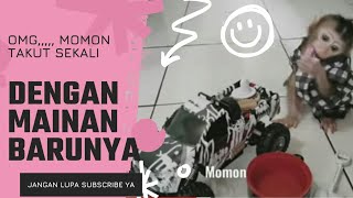 OMG.... MOMON bayi monyet TAKUT SEKALI DENGAN MAINAN BARUNYA