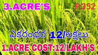 P.352🌾3.ACRE'S🌾1.ACRE RATE:12/LAKH'S 💰NELLIPUDI📌NEAR GOKAVARAM📌(VAYA KOTTAPALLI)GANGAVARAM MANDALAM🌾