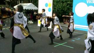 早稲田大学東京花火05Remix@早稲田祭2009３号館前