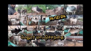 மேலூர்  14/12/24 மாட்டுச்சந்தை வாங்க பார்களாம்