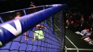 WEC 53 Henderson vs Pettis, Round 5 Kick Highlight