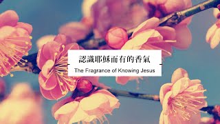 活水教會青年講道- 認識耶穌而有的香氣 The Fragrance of Knowing JESUS