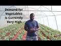 Greenhouse Farming In Zimbabwe - Part 3