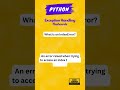 Mastering Python Exception Handling: Complete Guide for Beginners 14