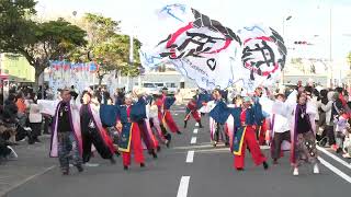 2024.黒潮よさこい祭り(シンボルロード)team I ZUMO