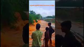 River Crossing Adventure in Kanuvai: Children Catching Fish During Flooding 🌊🐟\