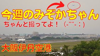 【大阪伊丹空港】今週のみぞかちゃん　2022.5.21　みぞかちゃんプチおこ！？