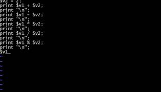 Perl 3 Numeric operations