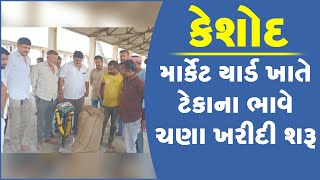 કેશોદ માર્કેટ યાર્ડ ખાતે ટેકાના ભાવે ચણા ખરીદી શરૂ