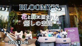 フレンチブルドッグ空＆BOBのおでかけ BLOOMY'S